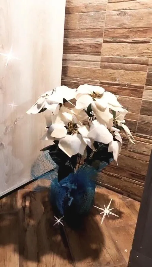 Apartmán Trinacria CTA